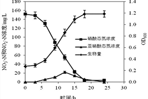 一株異養(yǎng)硝化?好氧反硝化節(jié)桿菌及其應用