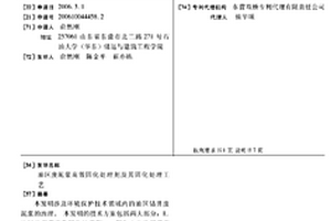 油區(qū)廢泥漿高效固化處理劑及其固化處理工藝