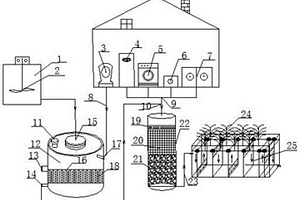 基于蠕蟲的村鎮(zhèn)生活污水源分離及廢物資源化利用系統(tǒng)