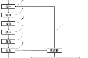 處理餐廚垃圾的方法