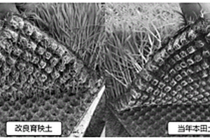 人工腐殖質(zhì)改良水稻育秧土的方法