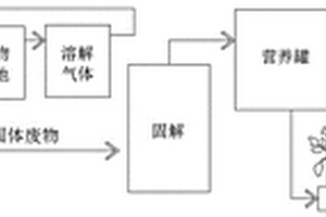 基于工廠化循環(huán)水養(yǎng)殖的魚(yú)菜共生系統(tǒng)