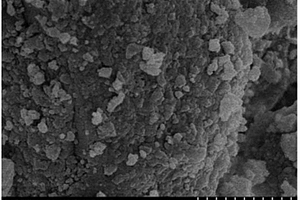 納米ZSM-5分子篩催化對二氯苯異構(gòu)化制備間二氯苯的方法