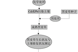 一種煤氣化渣聯(lián)合黑麥草修復(fù)Cd或Pb污染土壤的方法