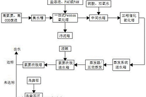 一種高氨氮、高COD廢液處理技術(shù)