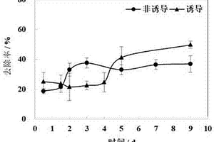 磺胺類抗生素降解菌及其應(yīng)用