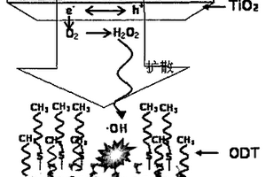 羥基自由基的電化學(xué)分析方法