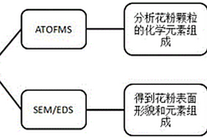 花粉顆粒表面形貌和化學(xué)元素組成的分析方法和裝置