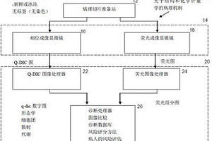 光子結(jié)構(gòu)和化學(xué)計量學(xué)病理系統(tǒng)