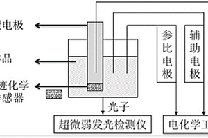 藻毒素分子印跡化學受體傳感器及其制備方法和應用