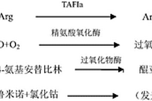 TAFIa含量的檢測方法、用于檢測TAFIa含量的試劑盒及二者的應(yīng)用