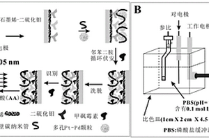 甲砜霉素分子印跡電化學(xué)傳感器的應(yīng)用