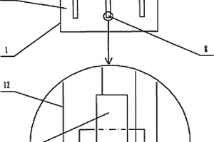 基于特種工作電極的電致化學發(fā)光分析檢測裝置