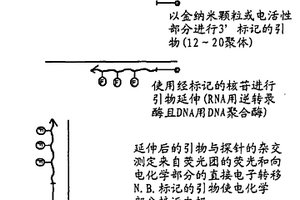 使用光學(xué)和電學(xué)測量方法檢測分析物