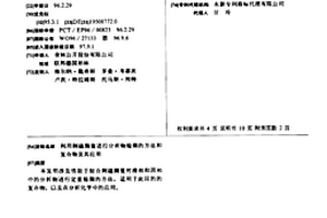 利用剩磁測量進(jìn)行分析物檢測的方法和復(fù)合物及其應(yīng)用