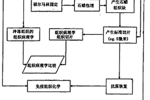 化學交聯(lián)的細胞樣品的分析