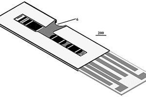 用于檢測腎功能指標(biāo)的電化學(xué)測試條及其檢測方法