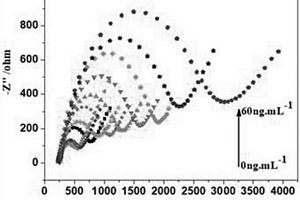 AFB<sub>1</sub>電化學(xué)免疫傳感器及其制備方法及其用于黃曲霉素B<sub>1</sub>的檢測(cè)