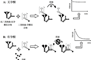 電化學(xué)檢測結(jié)合反應(yīng)的方法