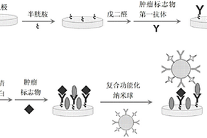 用于檢測腫瘤標志物的電化學發(fā)光免疫傳感器及其制備方法和應(yīng)用