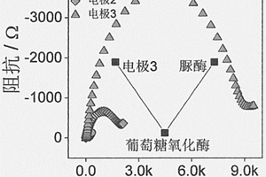 檢測葡萄糖氧化酶及脲酶的電化學生物傳感新方法及其應(yīng)用