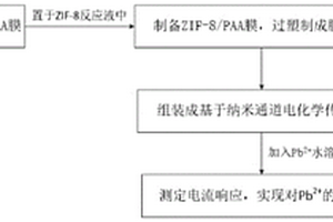 基于納米通道電化學(xué)傳感器的鉛離子檢測(cè)方法