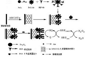 用于檢測青霉素的電化學生物傳感器及其制備方法和應(yīng)用