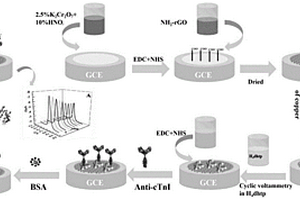 心肌肌鈣蛋白I的免標(biāo)記電化學(xué)傳感器制備方法及對(duì)cTnI的檢測(cè)方法