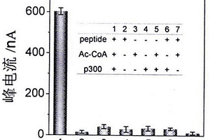 檢測組蛋白乙酰轉(zhuǎn)移酶活性的電化學法拉第籠免疫傳感器的構(gòu)建方法及應(yīng)用