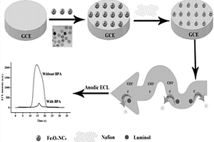 用于檢測雙酚A的電致化學發(fā)光傳感器及其制備方法和應(yīng)用