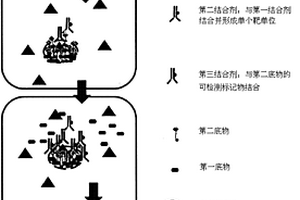 單個(gè)靶實(shí)體的免疫化學(xué)檢測(cè)