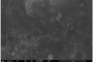 AFB<sub>1</sub>電化學(xué)免疫傳感器及其制備方法及其用于AFB<sub>1</sub>的檢測(cè)