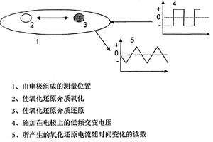 用于檢測化學(xué)或生物成分的方法以及用于此的電極布置