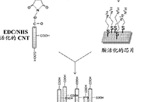 全細(xì)胞細(xì)菌生物電容器芯片和用該芯片檢測毒性化學(xué)物質(zhì)誘導(dǎo)的細(xì)胞應(yīng)激的方法