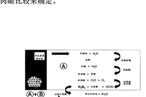 通過內(nèi)源校準物對待分析物進行偶聯(lián)的酶免疫化學測定的方法