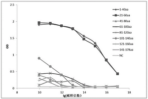 檢測口腔癌的T細(xì)胞表位多肽及其應(yīng)用