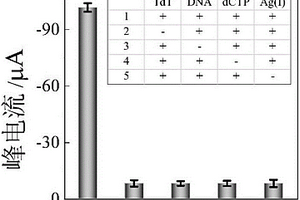 基于DNA信號放大技術(shù)合成銀納米簇的電化學(xué)生物傳感器的制備方法及其應(yīng)用