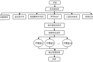 基于計(jì)算的預(yù)測(cè)熒光蛋白質(zhì)的方法