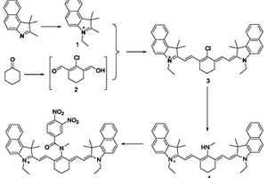 用于檢測谷胱甘肽巰基轉移酶熒光分子探針的制備方法和應用