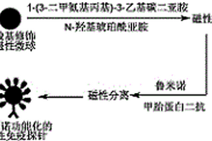 基于魯米諾功能化的磁性免疫探針檢測(cè)甲胎蛋白的方法