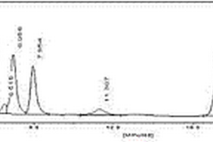 用動(dòng)態(tài)軸向壓縮柱分離純化埃博霉素的方法