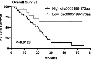circ0005199-173aa蛋白及其在制備食管癌診斷產(chǎn)品中的應(yīng)用