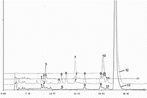 用干姜、穿山龍、雞血藤制成的治療風(fēng)濕痹痛藥的HPLC特征圖譜的構(gòu)建方法