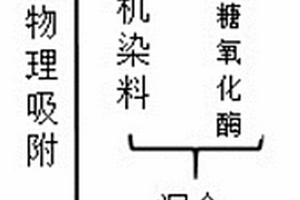 葡萄糖氧化酶生物傳感器的制備及使用方法