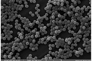 超疏水耐腐蝕抗菌納米涂料、涂層及其制備方法