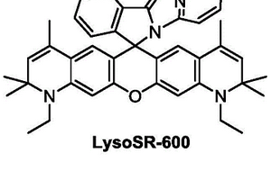 用于溶酶體超分辨熒光成像的自閃熒光染料及其合成方法與應用