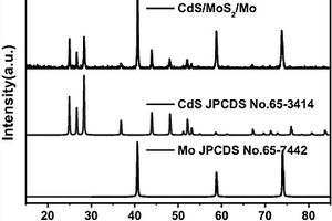 CdS/MoS2/Mo雙層核殼結(jié)構(gòu)光電極