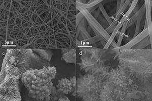 VO<Sub>2</Sub>納米花材料及其制備方法和應(yīng)用