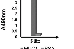 人MUC1特異性結(jié)合多肽及其提取方法