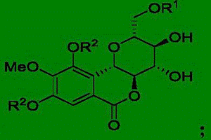 巖白菜素磺酸酯衍生物及其用途